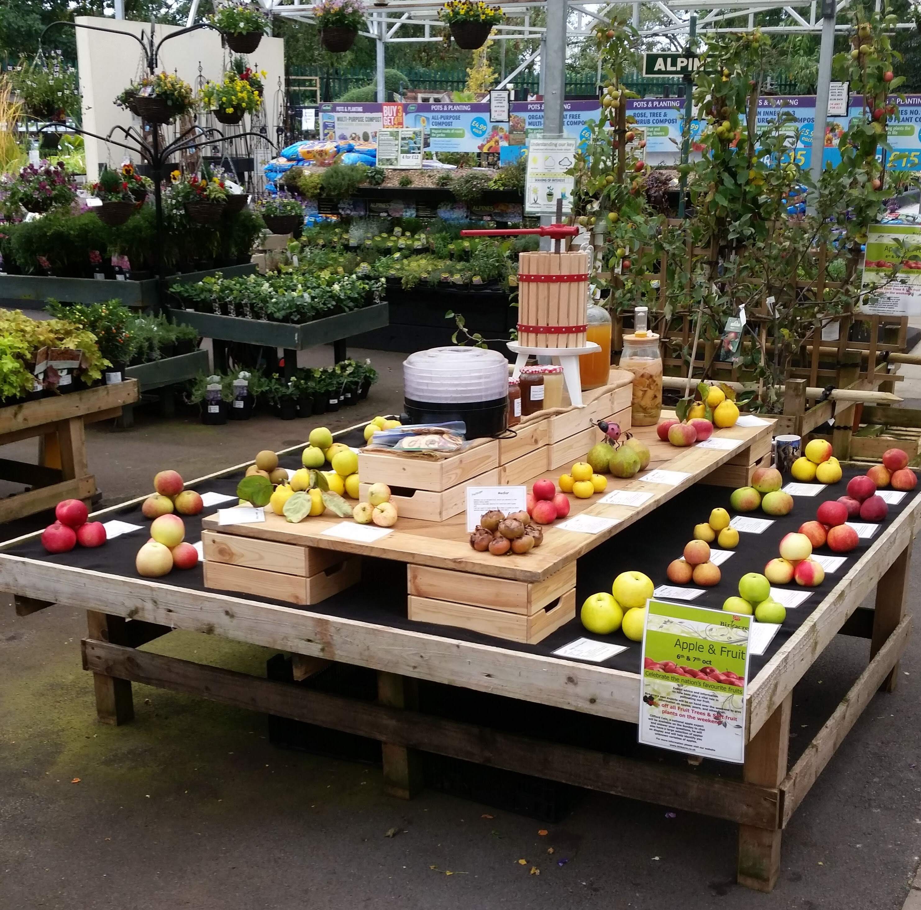 Apple display in early October at  at Birkacre Garden Centre supporting their sale of fruit trees