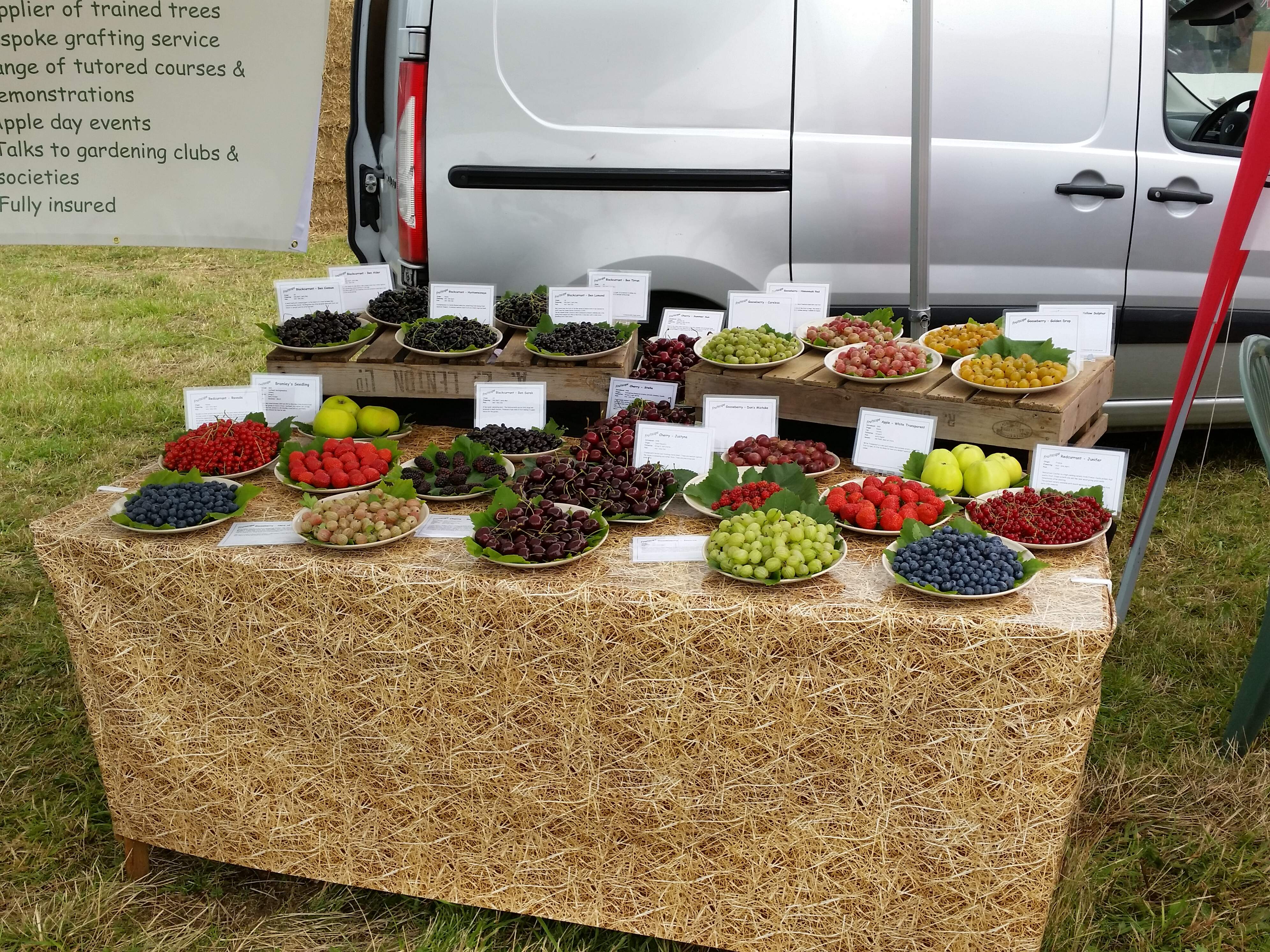 Seasonal display of fruit at Tockwith Show at the beginning of August