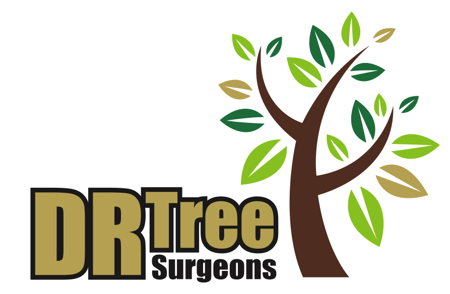 DR Tree Surgeons