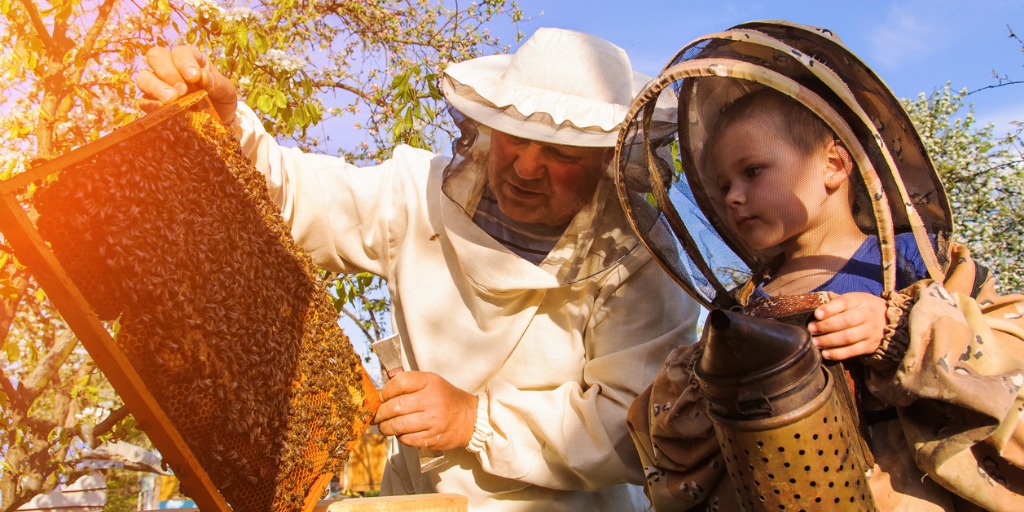 grandpa-beekeeper-passes-his-experience-little-grandson-picture-id606206884jpg
