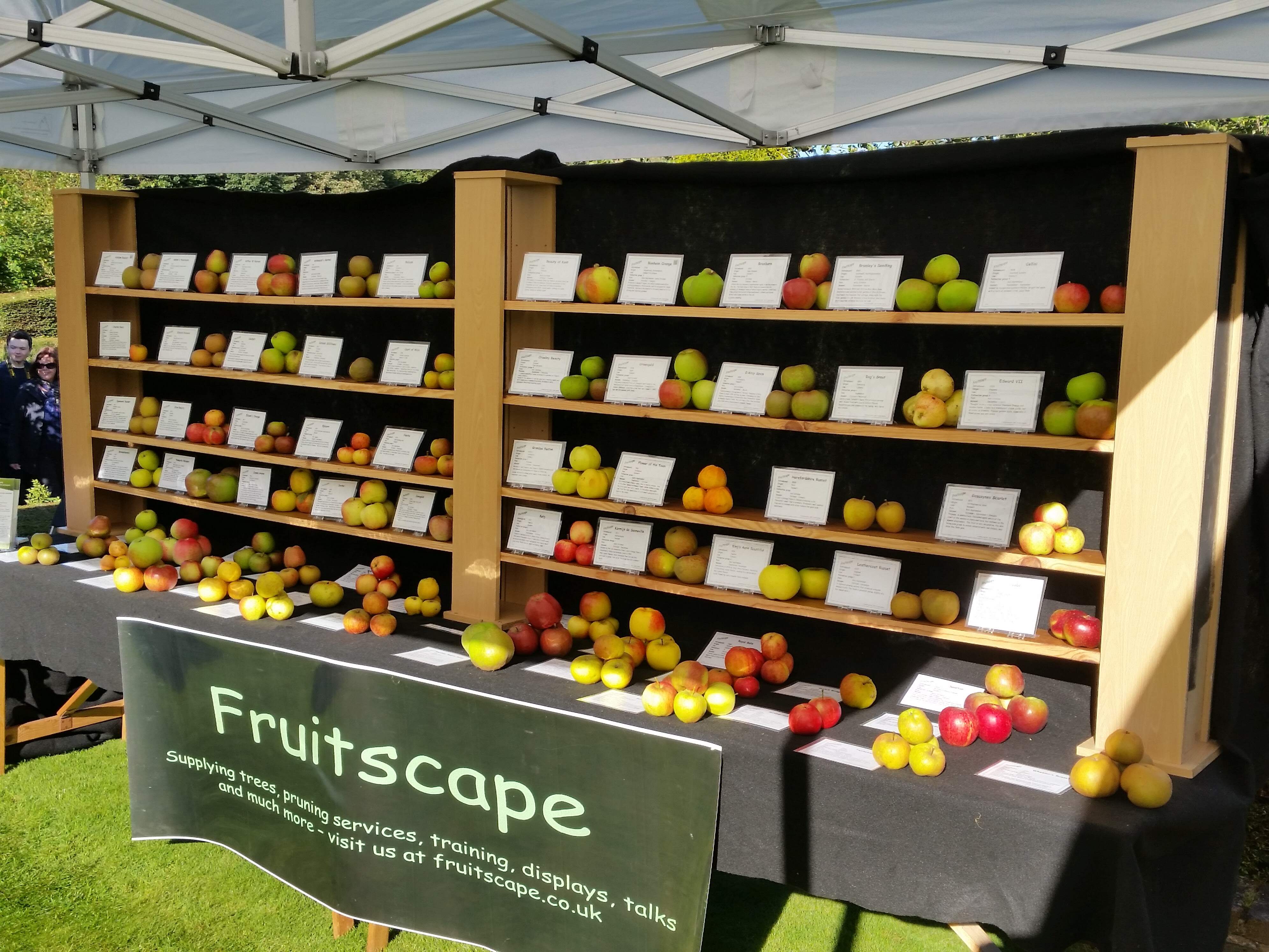 Display of Fruitscape grown apples at Franklin Gardens, Braunstone, Leicester