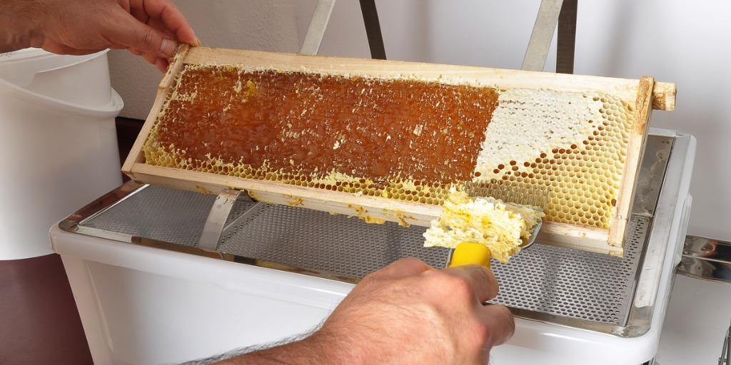uncapping-of-honeycomb-at-plastic-tub-picture-id953763924jpg