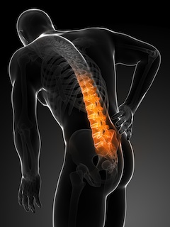 Diagram of Skeleton with Lower Back Pain