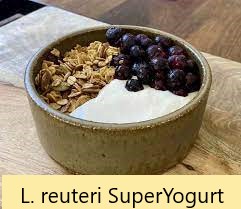 Unlocking the Health Benefits of L. reuteri Yogurt: A Gut-Friendly Superfood"