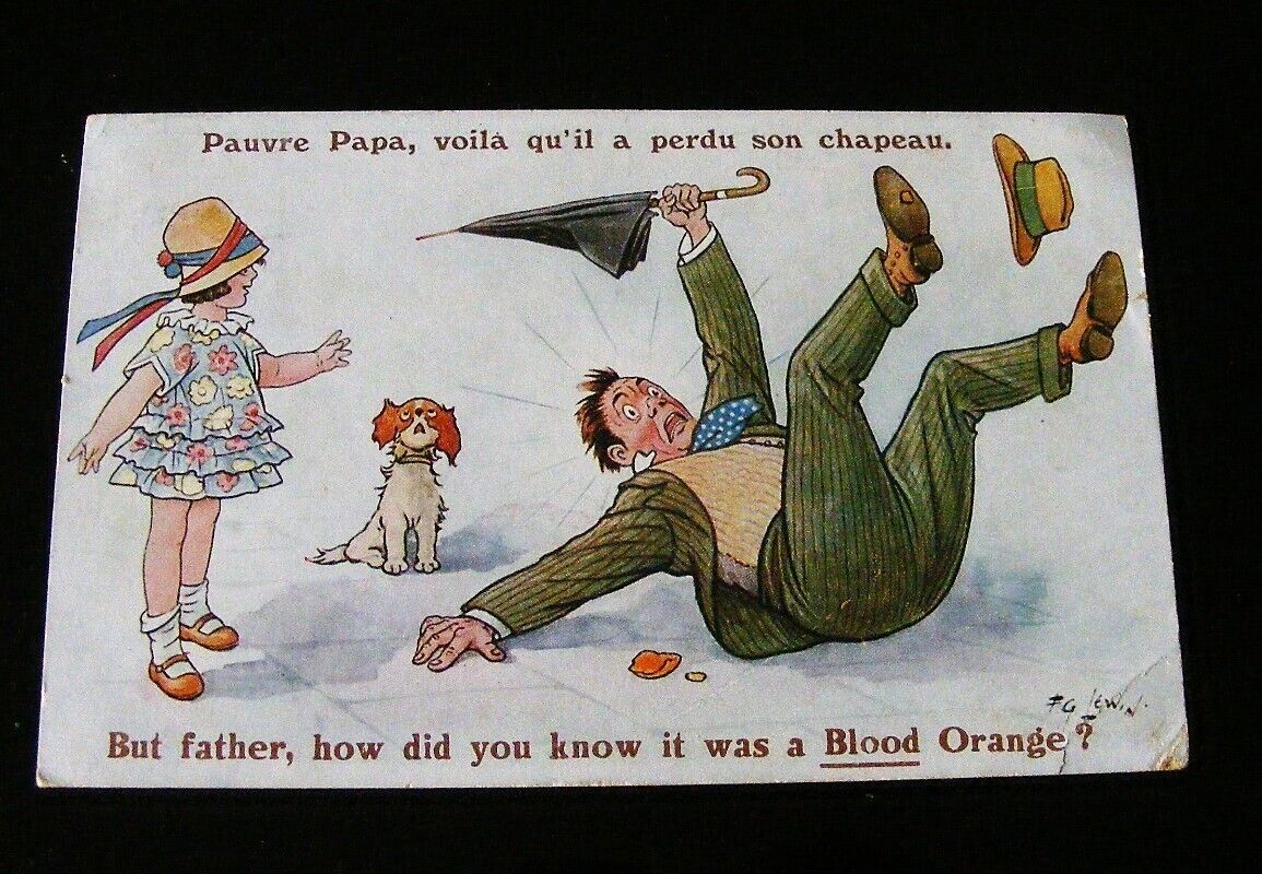F G Lewin vintage postcard blood orange