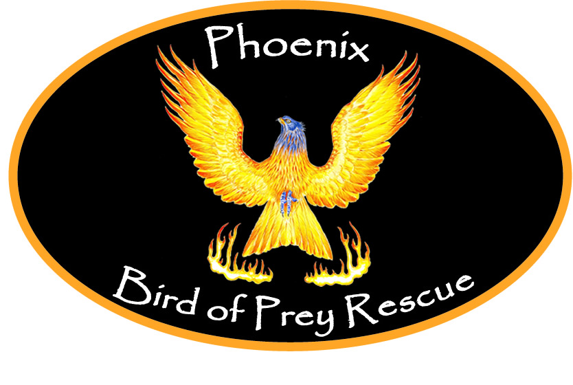 Phoenix Bird of Prey Rescue
