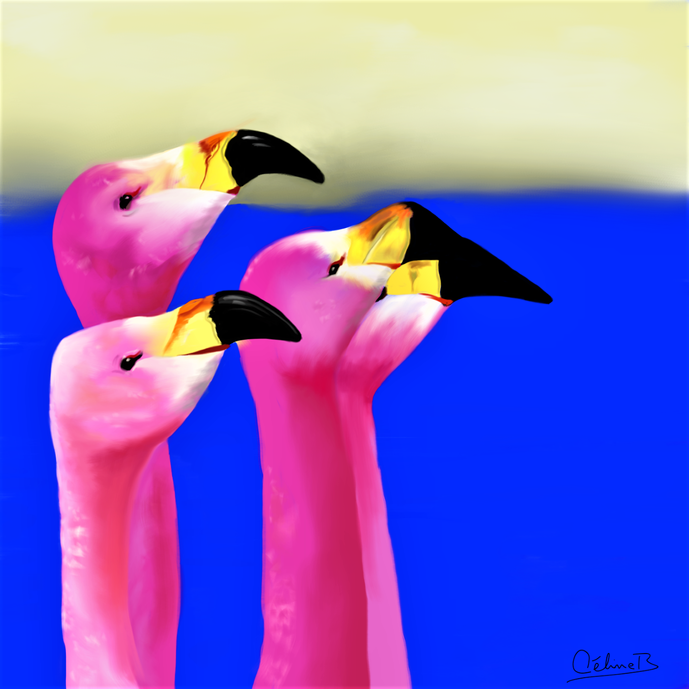Flamingos: Proud Walk