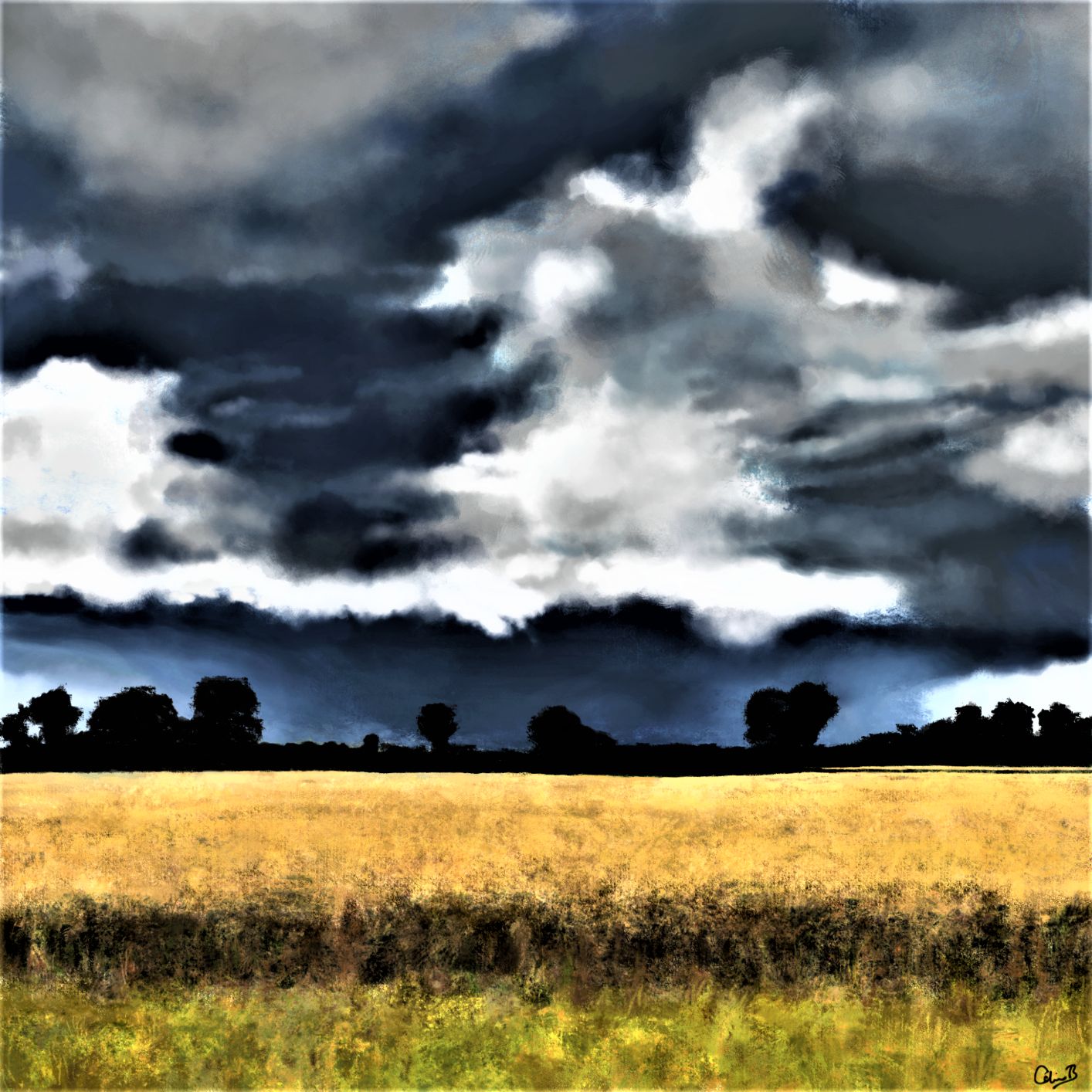 Somerset Storm