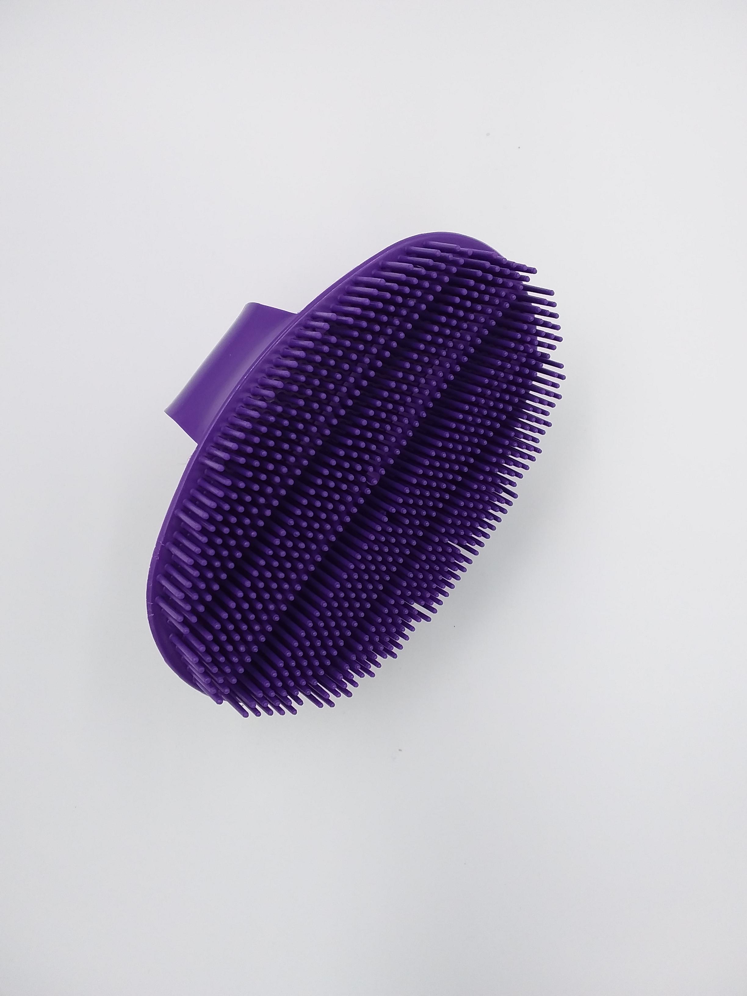 Haas Plastic Curry Comb