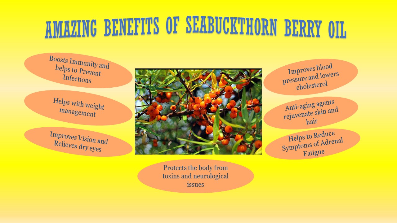 Amazing Miracle in Seabuckthorn Berry Oil!