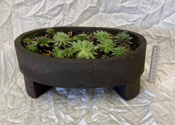 slab built un-glazed coarse black stoneware clay temporarily planted with succulent