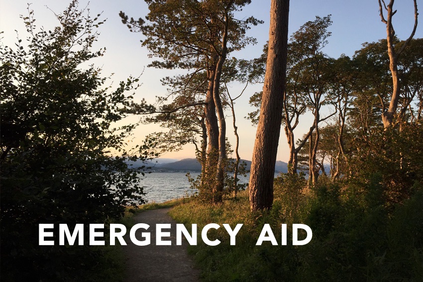 Emergency Aid button