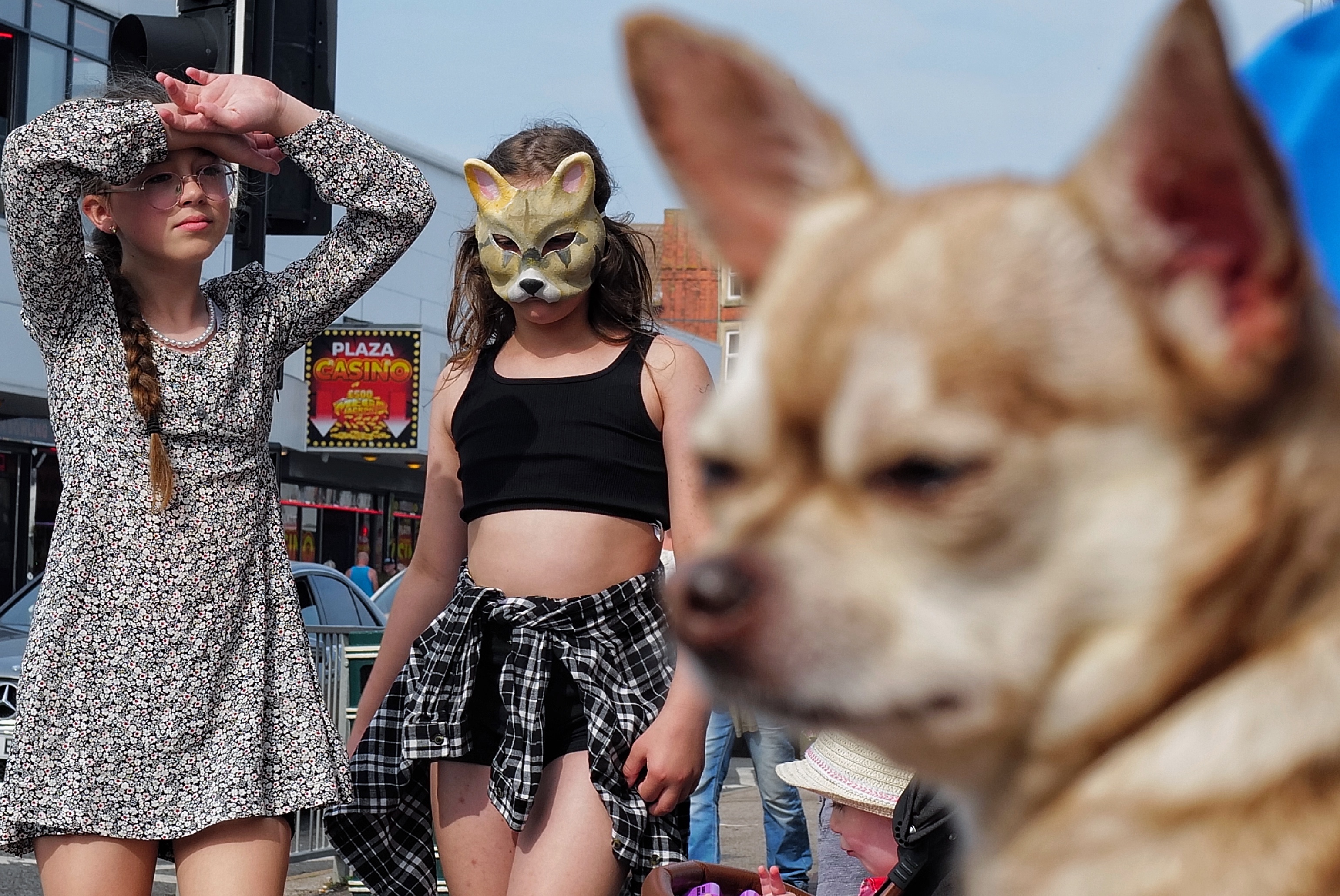 Street photo by steve gould skegness of girls and a dog  exhibition, Hildreds,  Skegnessgirl, fox, dog, seafront, mask, street photography, summertime, Lincolnshire