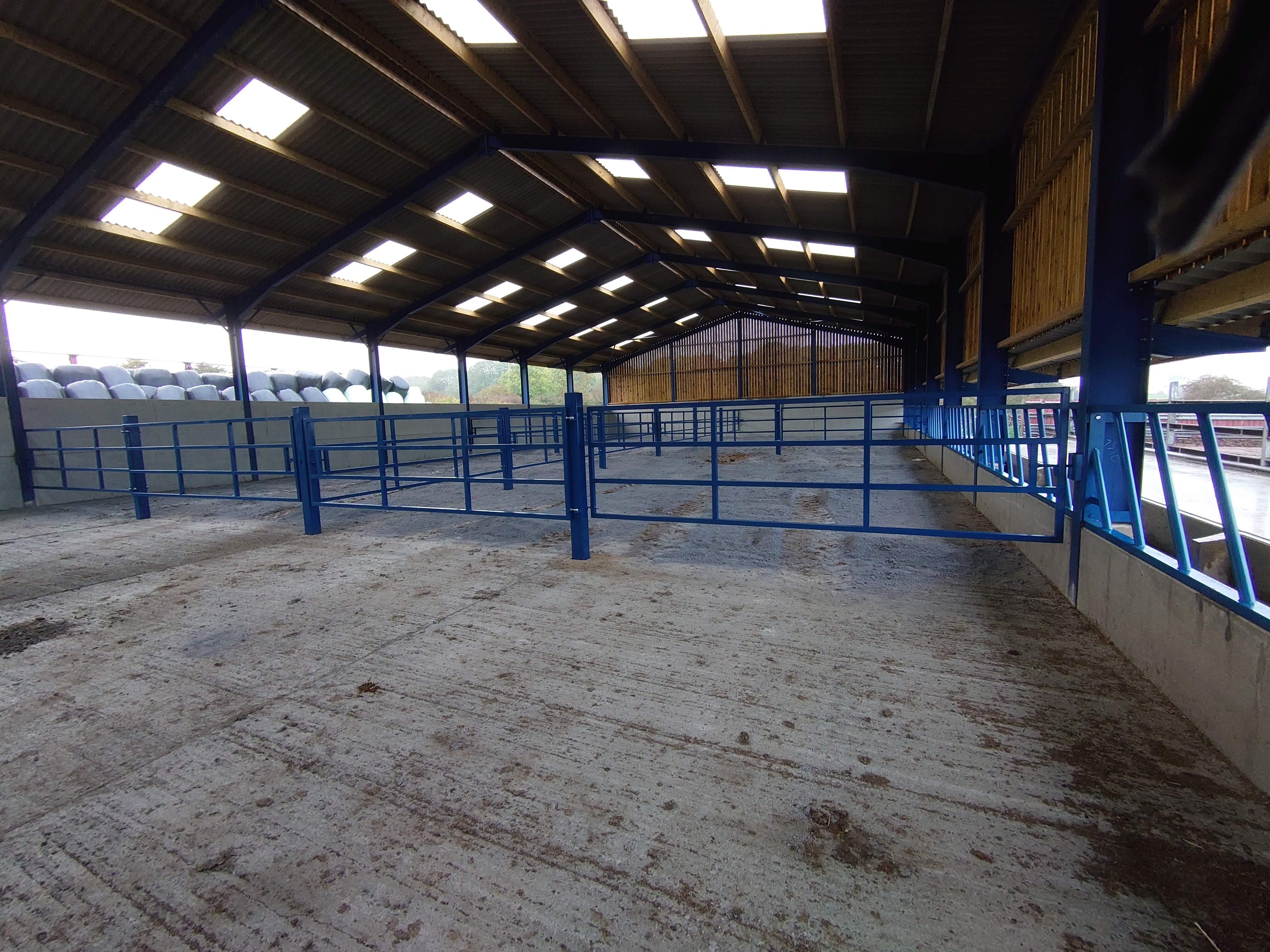 50mm frame gates designed to pen cattle to either the front/back of building for clearing manure