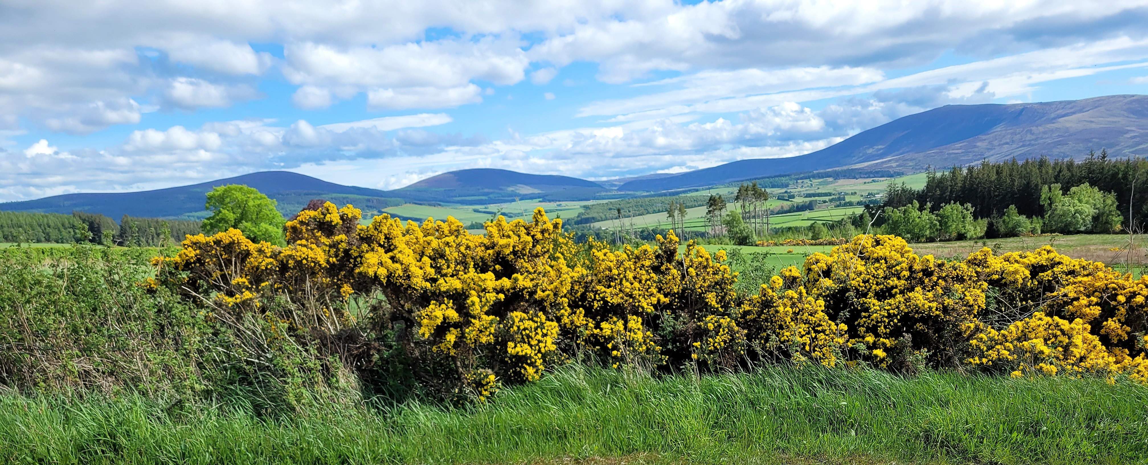 Archiestown walk along the green mile with a view of Ben Rinnes in spring