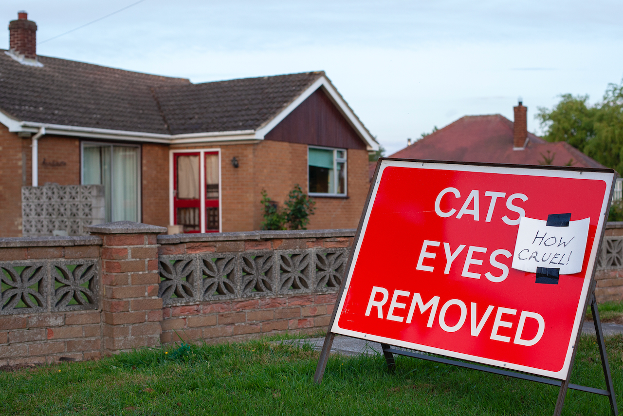 Cats Eyes Removed