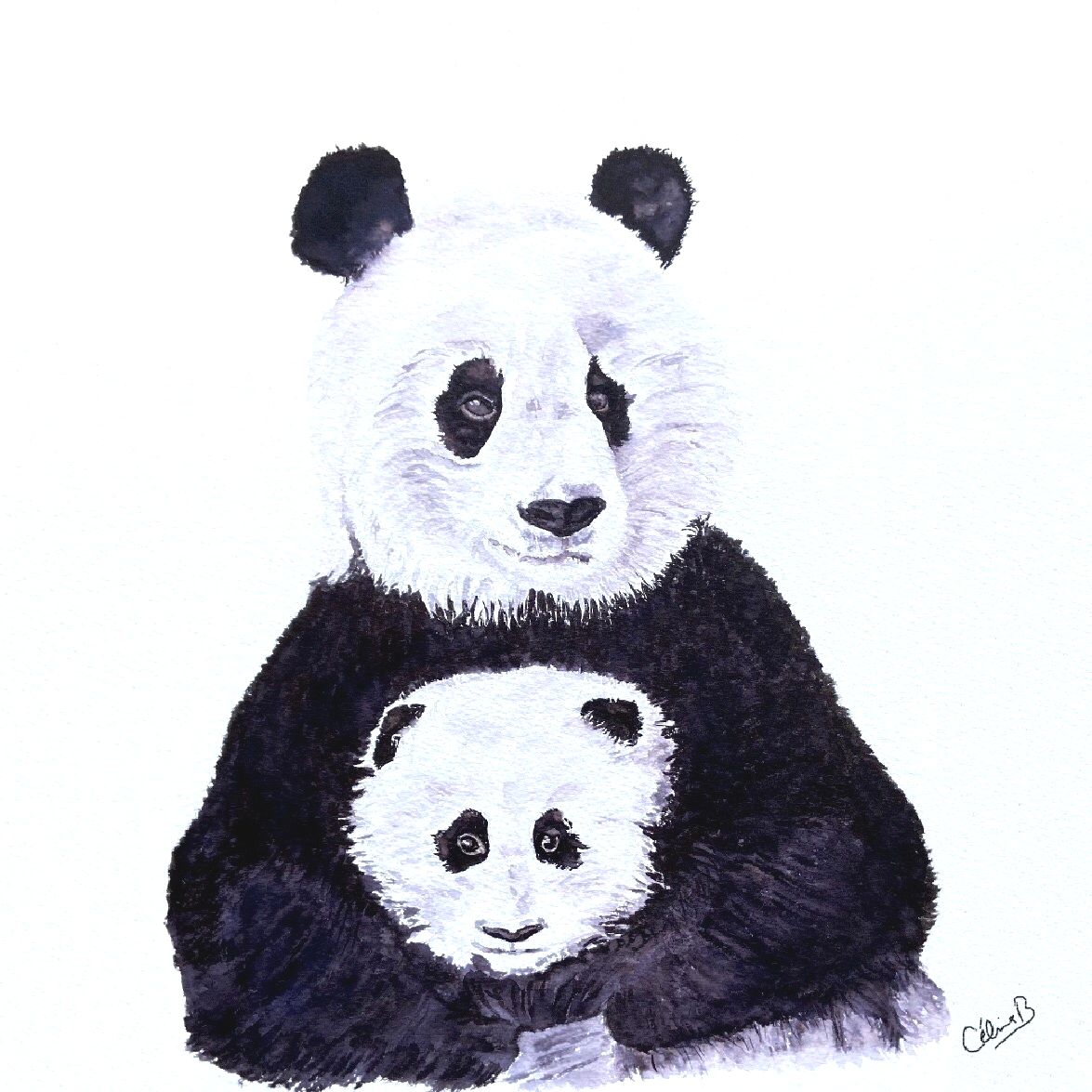 Panda Pose