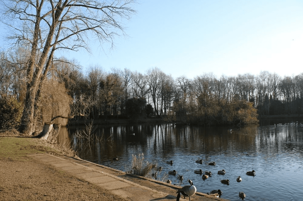 Market Bosworth Country Park | GoLeicestershire.com