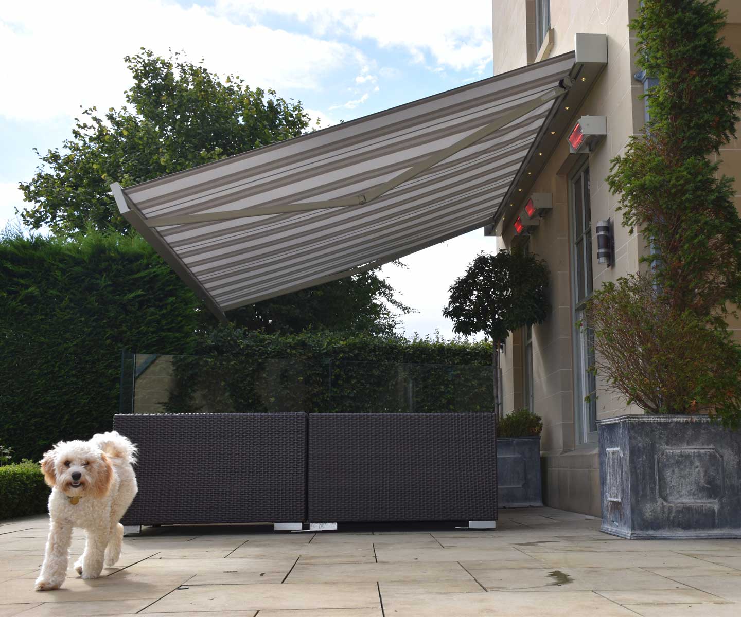 Awning with dog under