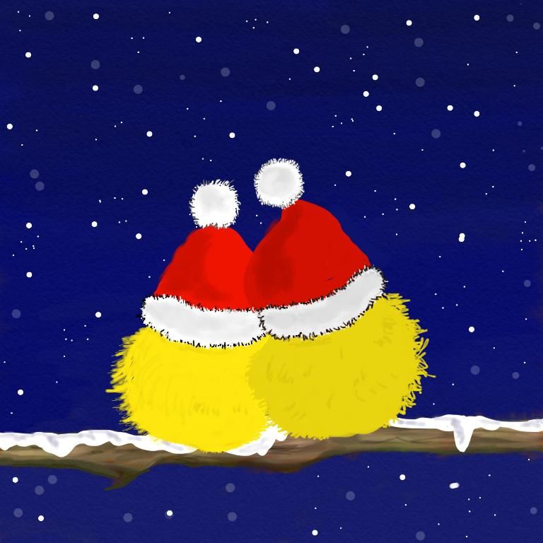 Christmas - The Love Birds