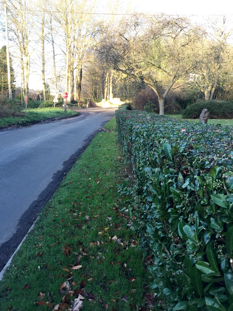 Hedge Cutting