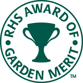 Delphiniums with Award of Garden Merit